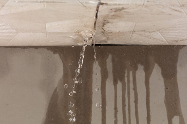 Professional Flood Damage Cleanup technician working in Clearwater Beach, FL